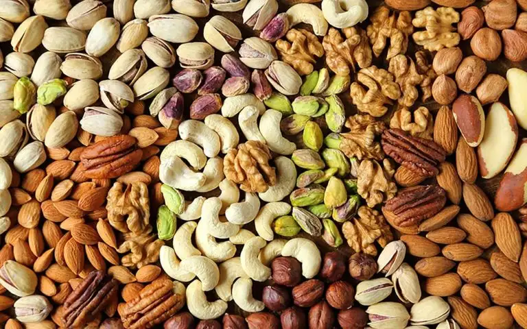 kacang kacangan