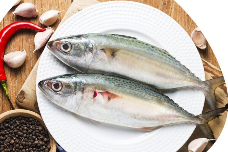 ikan kembung